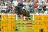CSI*** DINARD 2010