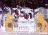 Chevaux Saillies &eacute;talons wonderboy