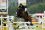 cr&eacute;dit@Paul Schockemohle