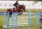 Chevaux A vendre PICCOLINO OF COCO Fontbl 2008
