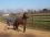 14/01 AMI SUR LA PISTE EN PLEIN TRAVAIL - PB