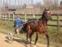 14/01 AMI SUR LA PISTE EN PLEIN TRAVAIL - PB