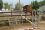Chevaux A vendre T&eacute;line de la Bonn 