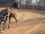 14/01 AMI SUR LA PISTE EN PLEIN TRAVAIL - PB