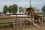 Chevaux A vendre T&eacute;line de la Bonn 