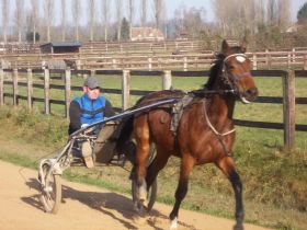14/01 AMI SUR LA PISTE EN PLEIN TRAVAIL - PB
