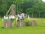 Haras de Champeix