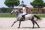 finale des 6 ans