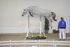 BACARAT - photo evenement