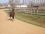 14/01 AMI SUR LA PISTE EN PLEIN TRAVAIL - PB