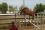 Chevaux A vendre T&eacute;line de la Bonn 