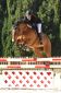 ZELANTARES - LB - lucien.bridlance@orange.fr