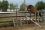 Chevaux A vendre T&eacute;line de la Bonn 