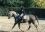 Haras de Champeix