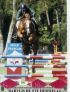 Chevaux Saillies &eacute;talons Babylis de Ste Hermelle