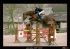 Chevaux Saillies &eacute;talons Vargas Ste Hermelle