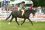 Thistledown Lucky Strike Par Eyarth Troy - Event photographer