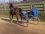 14/01 AMI SUR LA PISTE EN PLEIN TRAVAIL - PB