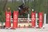 Chevaux A vendre Vacarese de st.fiacre