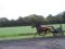 Octobre 2011 VICKY SUR LA PISTE - PB