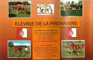 Elevage de la Pironni&egrave;re