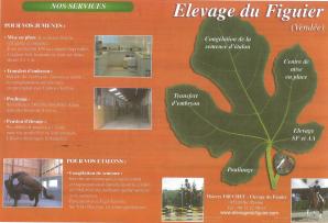 Elevage du Figuier