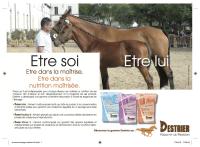 Destrier