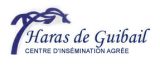 
Haras de Guibail : conditions de monte &eacute;talons La Caccia
