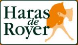 Haras de Royer : vacances d'été !