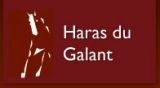 
Nouveau client Digistal

