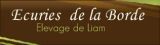 
Nouveau client Digistal
