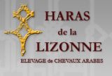 HARAS DE LA LIZONNE : NADEEM LA LIZONNE** VAINQUEUR DE URRUGNE