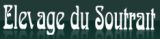 
Nouveau client Digistal
