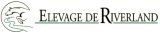 
Elevage de Riverland : veloce de
riverland SF
