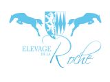Nouveau client Digistal