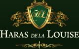 Nouveau client Digistal
