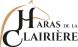 Cheval &agrave; vendre - UBERT DU TERROIR