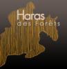 SCEA Haras des Forêts
