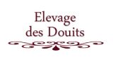 
Elevage des Douits : NICO des ILOTS
Poney Fran&ccedil;ais de Selle
