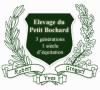 Elevage du Petit Bochard